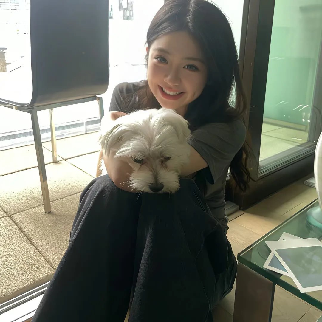 胖胖裤猪