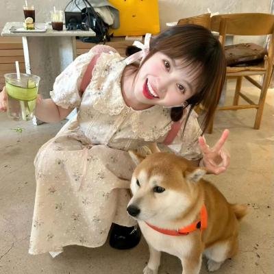 恐龙之子