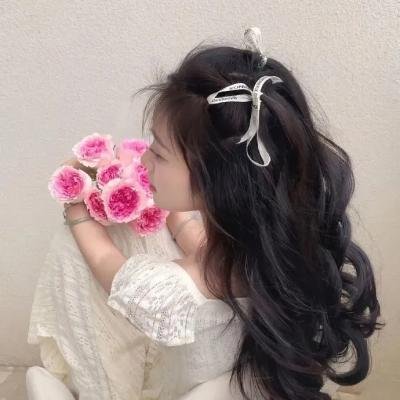 好莱坞狗日子
